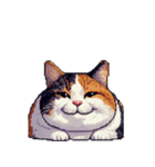 無言で伝える太っちょ三毛猫（個別スタンプ：15）