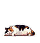 無言で伝える太っちょ三毛猫（個別スタンプ：16）