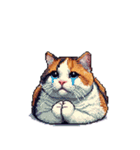 無言で伝える太っちょ三毛猫（個別スタンプ：17）