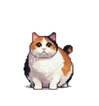 無言で伝える太っちょ三毛猫（個別スタンプ：20）