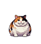 無言で伝える太っちょ三毛猫（個別スタンプ：24）