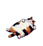無言で伝える太っちょ三毛猫（個別スタンプ：36）