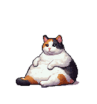 無言で伝える太っちょ三毛猫（個別スタンプ：37）