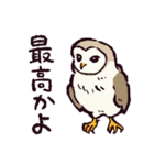 もうエッホエッホしたくないメンフクロウ（個別スタンプ：34）