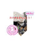 キクオ特集（個別スタンプ：2）