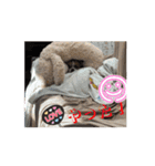 キクオ特集（個別スタンプ：5）
