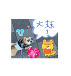 キクオ特集（個別スタンプ：6）