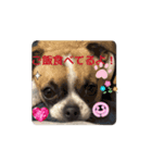 キクオ特集（個別スタンプ：7）
