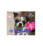 キクオ特集（個別スタンプ：8）