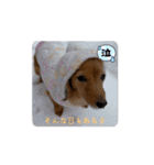 動くりぃちゃんスタンプ❤︎‬（個別スタンプ：7）