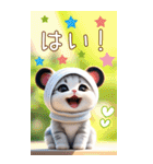 パンダ帽が可愛い猫 ずっと使えるBIG 敬語（個別スタンプ：13）