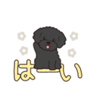 『トイプードル』毎日使えるデカ文字．3（個別スタンプ：2）