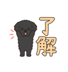 『トイプードル』毎日使えるデカ文字．3（個別スタンプ：3）