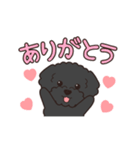 『トイプードル』毎日使えるデカ文字．3（個別スタンプ：5）