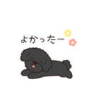 『トイプードル』毎日使えるデカ文字．3（個別スタンプ：6）