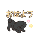 『トイプードル』毎日使えるデカ文字．3（個別スタンプ：13）