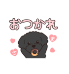 『トイプードル』毎日使えるデカ文字．3（個別スタンプ：15）