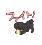 『トイプードル』毎日使えるデカ文字．3（個別スタンプ：20）