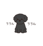 『トイプードル』毎日使えるデカ文字．3（個別スタンプ：21）