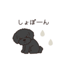 『トイプードル』毎日使えるデカ文字．3（個別スタンプ：23）