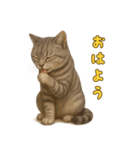 ぬいぐるみサバトラ猫のサマースタンプ（個別スタンプ：2）