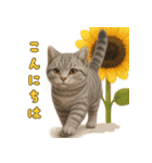 ぬいぐるみサバトラ猫のサマースタンプ（個別スタンプ：3）