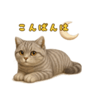 ぬいぐるみサバトラ猫のサマースタンプ（個別スタンプ：4）