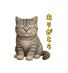 ぬいぐるみサバトラ猫のサマースタンプ（個別スタンプ：5）