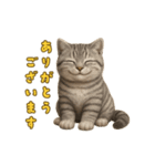 ぬいぐるみサバトラ猫のサマースタンプ（個別スタンプ：6）