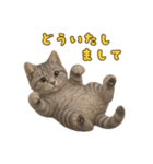 ぬいぐるみサバトラ猫のサマースタンプ（個別スタンプ：7）