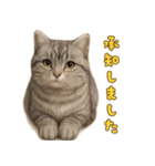 ぬいぐるみサバトラ猫のサマースタンプ（個別スタンプ：10）