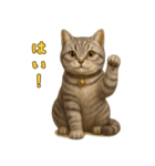 ぬいぐるみサバトラ猫のサマースタンプ（個別スタンプ：11）