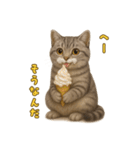 ぬいぐるみサバトラ猫のサマースタンプ（個別スタンプ：19）