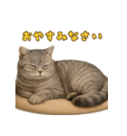 ぬいぐるみサバトラ猫のサマースタンプ（個別スタンプ：21）