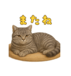 ぬいぐるみサバトラ猫のサマースタンプ（個別スタンプ：22）