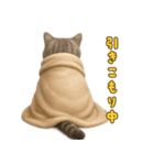 ぬいぐるみサバトラ猫のサマースタンプ（個別スタンプ：29）