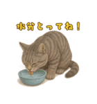 ぬいぐるみサバトラ猫のサマースタンプ（個別スタンプ：38）