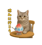 ぬいぐるみサバトラ猫のサマースタンプ（個別スタンプ：39）