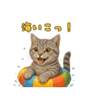 ぬいぐるみサバトラ猫のサマースタンプ（個別スタンプ：40）