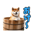 ダジャレ☆柴犬（個別スタンプ：3）