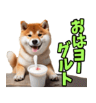 ダジャレ☆柴犬（個別スタンプ：4）