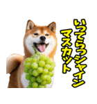 ダジャレ☆柴犬（個別スタンプ：10）