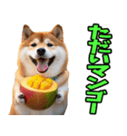 ダジャレ☆柴犬（個別スタンプ：11）