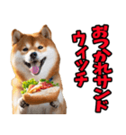 ダジャレ☆柴犬（個別スタンプ：13）