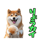 ダジャレ☆柴犬（個別スタンプ：14）