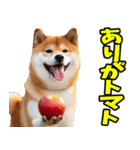 ダジャレ☆柴犬（個別スタンプ：15）
