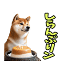 ダジャレ☆柴犬（個別スタンプ：21）