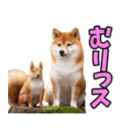 ダジャレ☆柴犬（個別スタンプ：22）