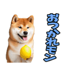 ダジャレ☆柴犬（個別スタンプ：25）
