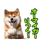 ダジャレ☆柴犬（個別スタンプ：26）